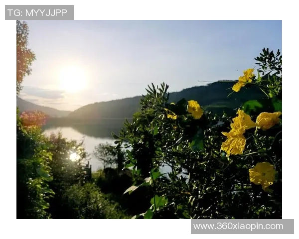 《探索QQ足球球星头像背后的个性与魅力，让你了解每位球员的独特风采》